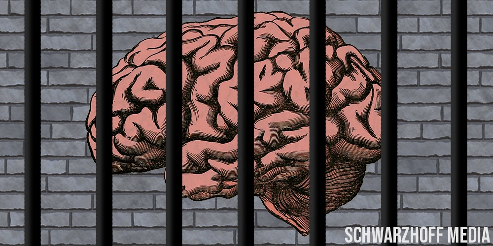 brain jail